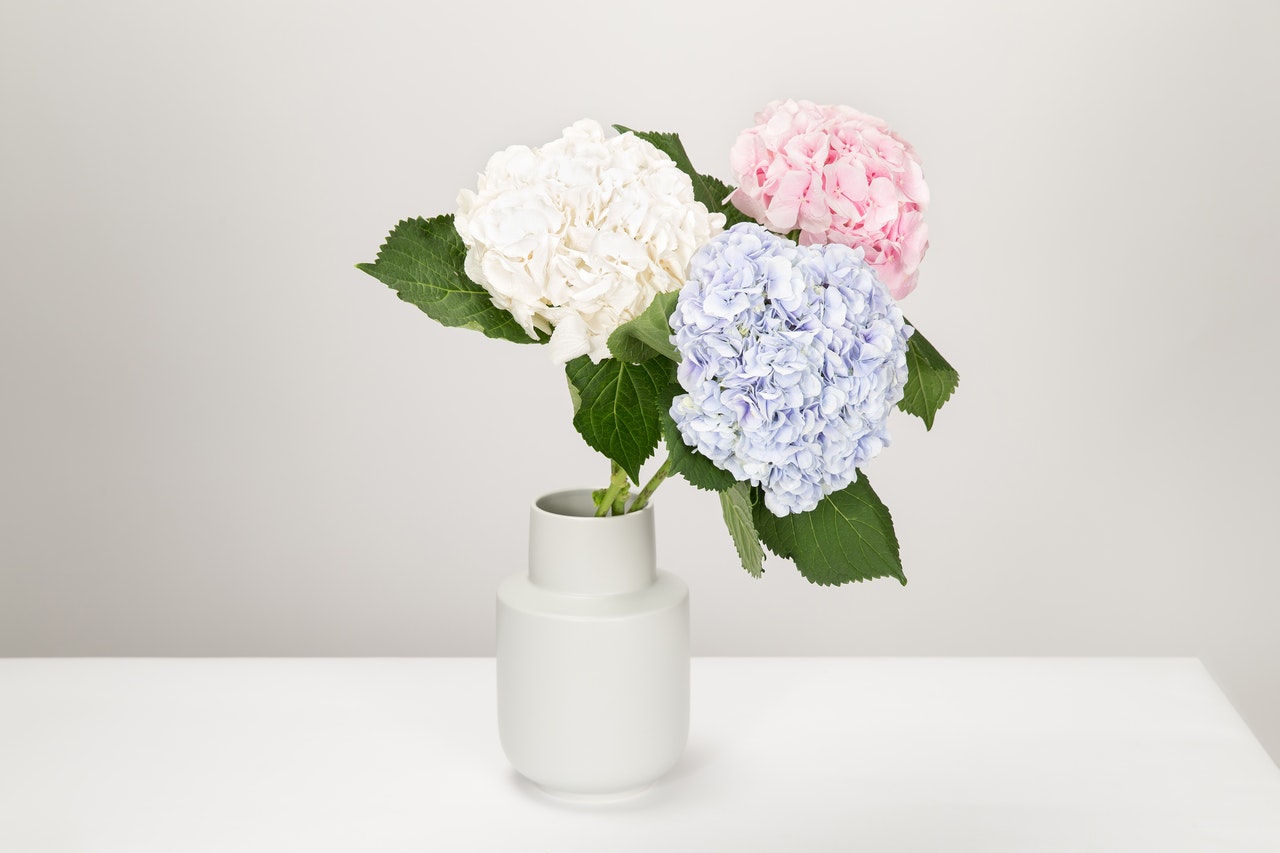 Blommor i vas
